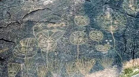 1594890225251490.jpg QQ截图20200716170334.jpg