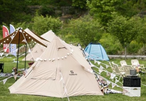 1652668194877736.jpeg 513.jpeg