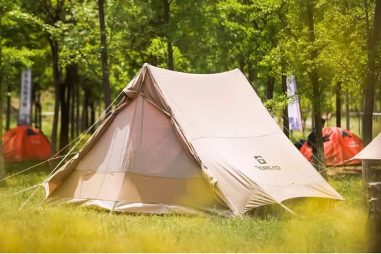 1652668228977933.jpg 516.jpg