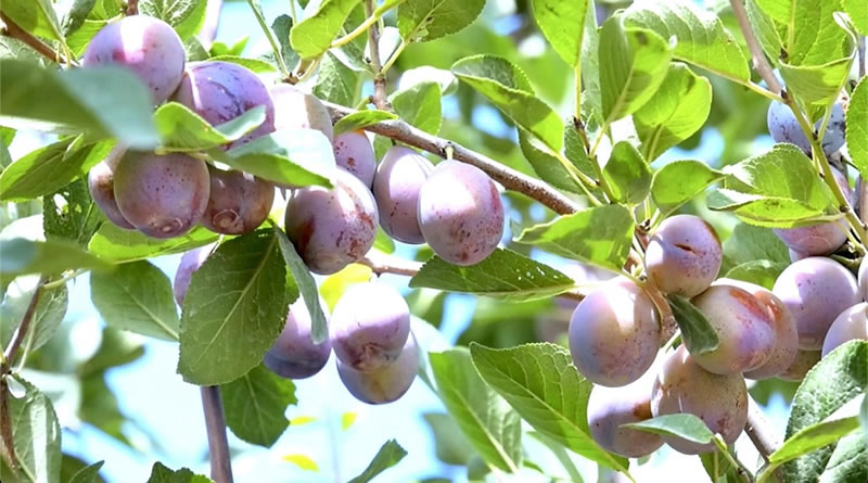 1659865315456569.jpg 未命名-2.jpg