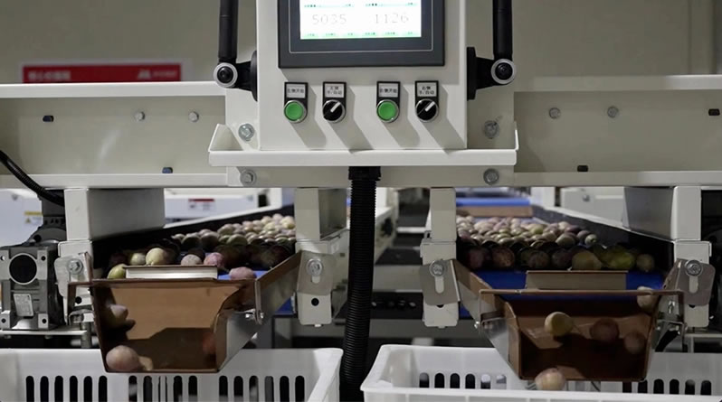 1659865341641204.jpg 未命名-4.jpg