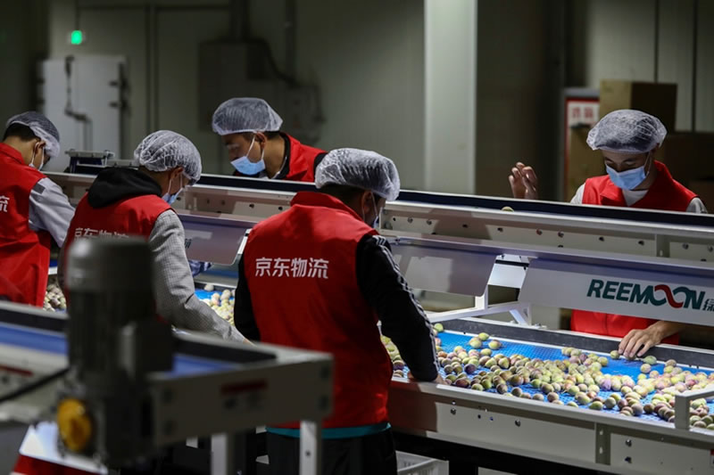 1659865347117695.jpg 未命名-3.jpg