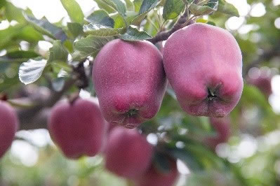 1662529872304796.jpg 未命名-10.jpg