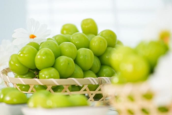 1671680910851095.jpg 未命名-2.jpg