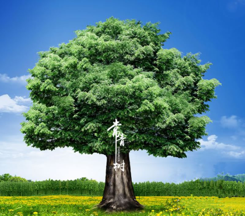 1678411978362744.jpg 未命名-1.jpg