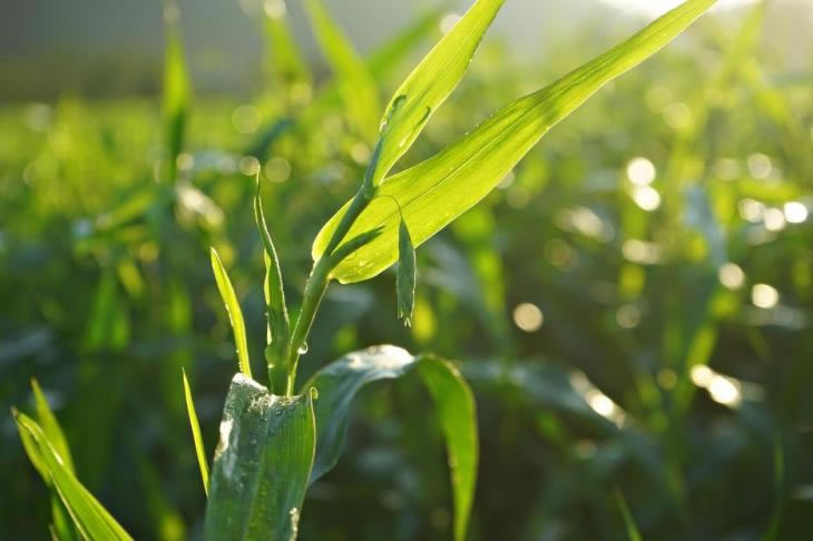 1693734103356793.jpg 未命名-1.jpg