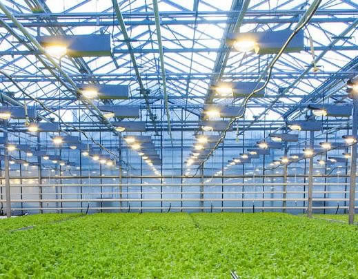 1698459042895473.jpg 未命名-4.jpg