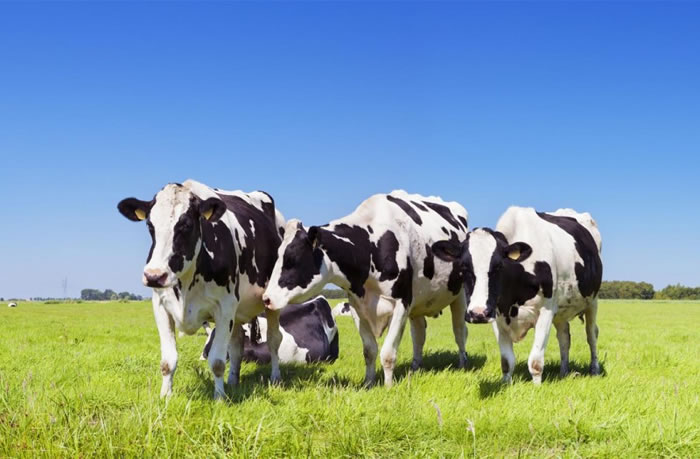 1714459657881626.jpg 未命名-3.jpg