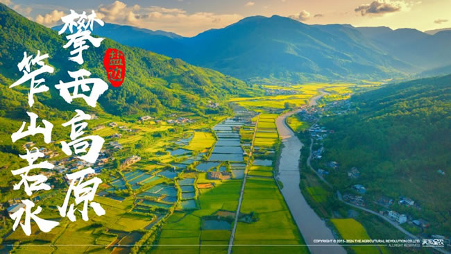 1718931731865689.jpg 未命名-4.jpg