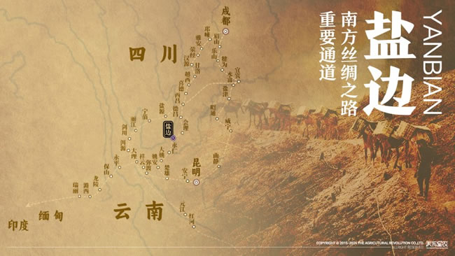 1718931745656000.jpg 未命名-6.jpg