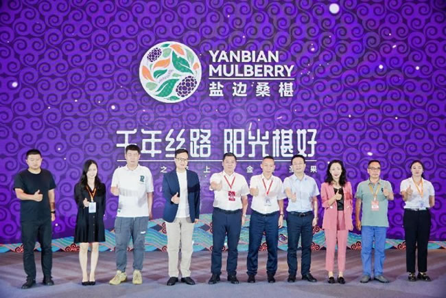 1718931782252747.jpg 未命名-7.jpg