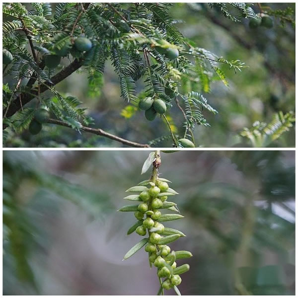 1719558981276458.jpg 未命名-5.jpg