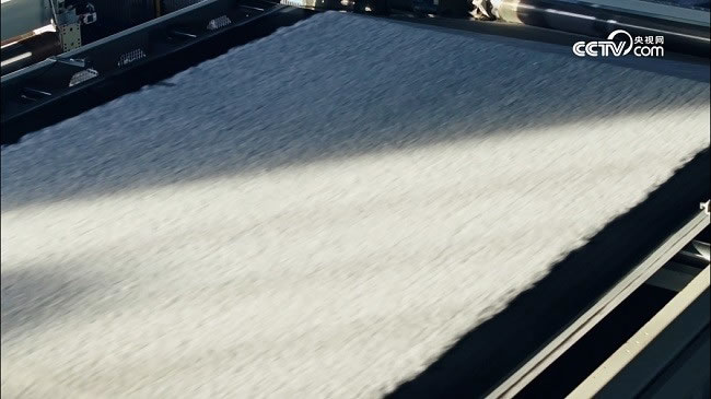 1744089717215160.jpg 未命名-10.jpg