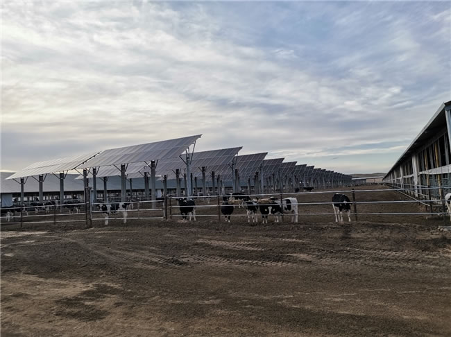 1745977748915737.jpg 未命名-3.jpg