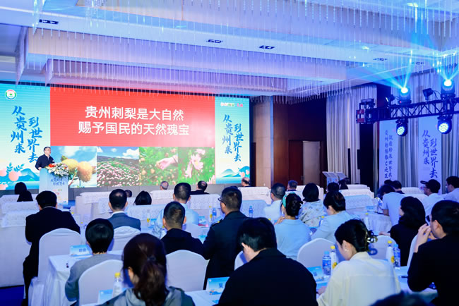 1745997271965687.jpg 未命名-8.jpg