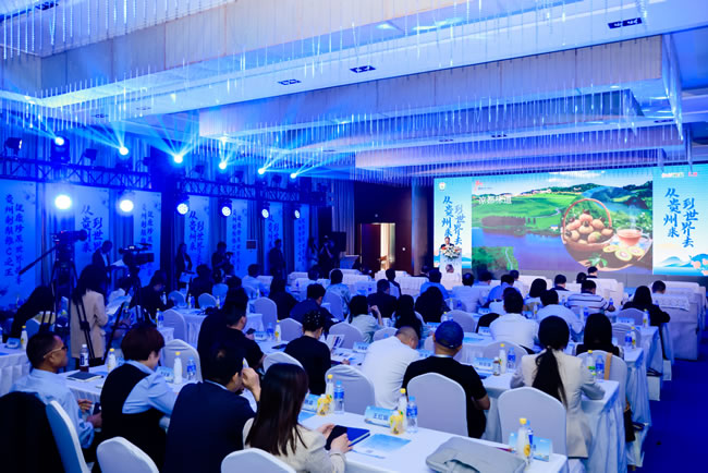 1745997279677859.jpg 未命名-9.jpg