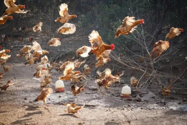 1746006550358260.jpg 未命名-36.jpg