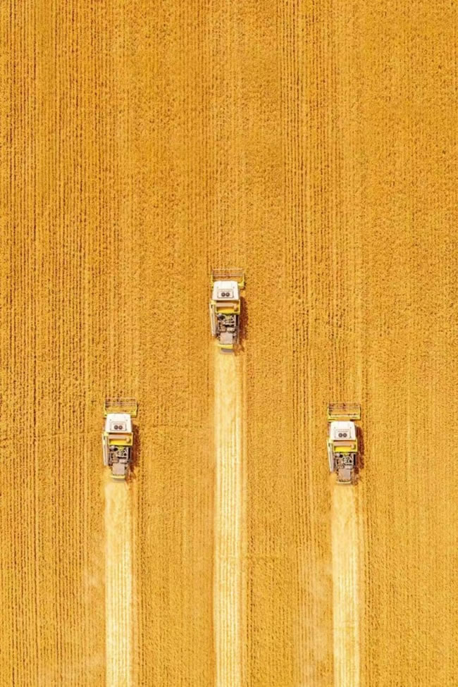 1749380376668670.jpg 未命名-3.jpg