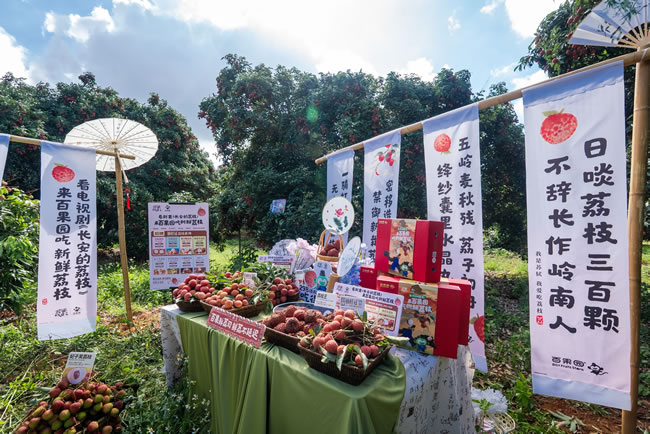 1751347135354739.jpg 未命名-6.jpg