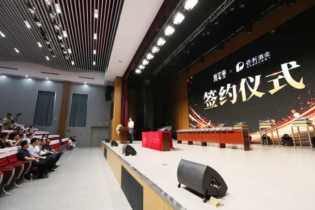 1752025804416587.jpg 未命名-9.jpg