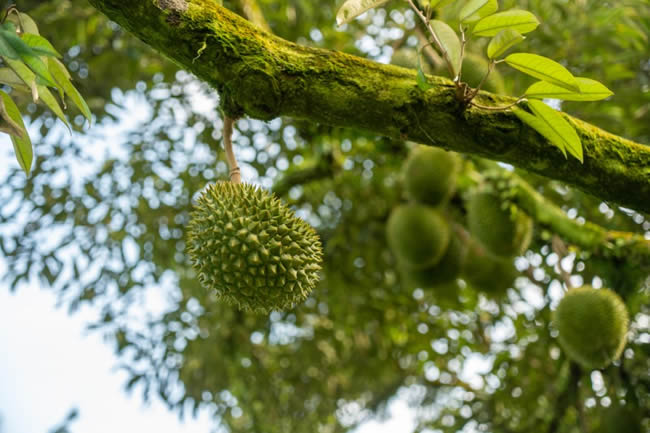 1752827765712454.jpg 未命名-10.jpg