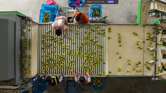 1761053847219413.jpg 未命名-1.jpg