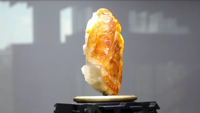 1762336476722730.jpg 未命名-3.jpg