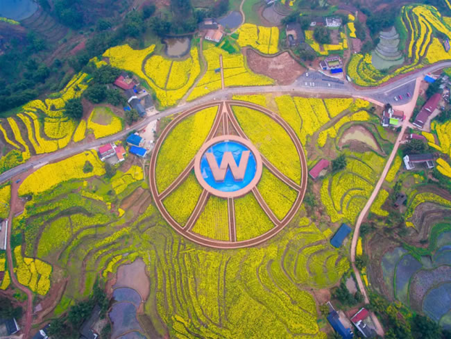 1762336669923684.jpg 未命名-14.jpg