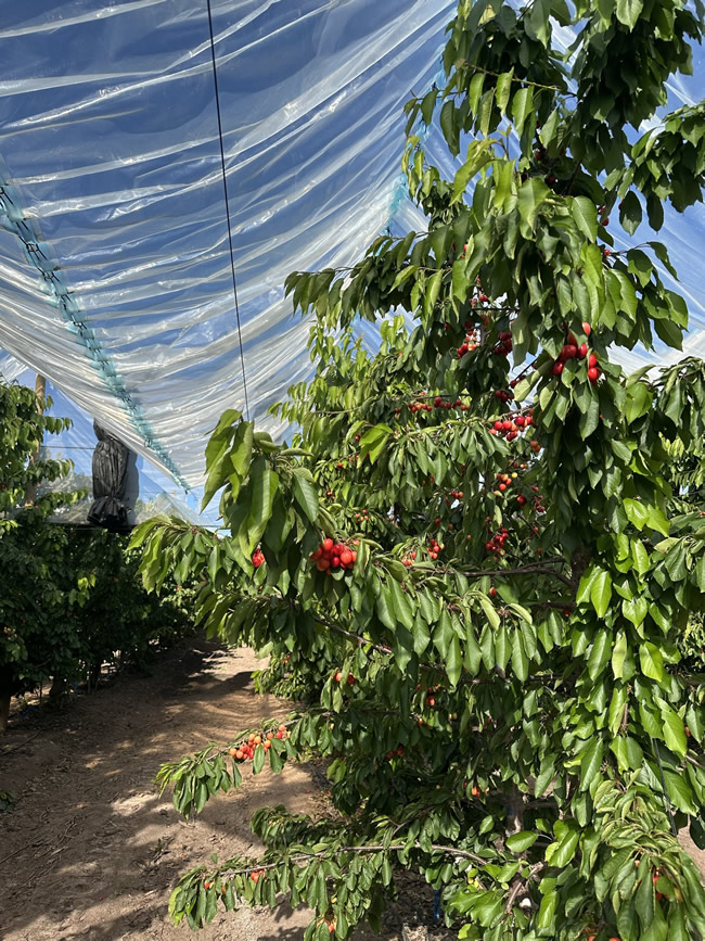 1762767177417149.jpg 未命名-23.jpg