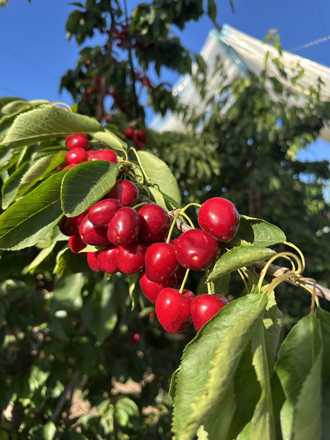 1762767184299270.jpg 未命名-18.jpg