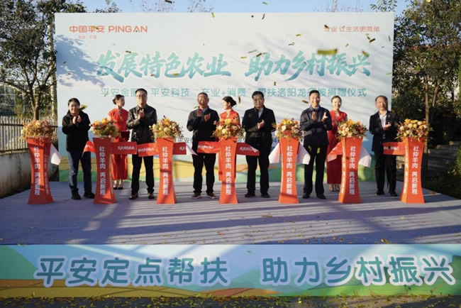 1763621316426494.jpg 未命名-1.jpg