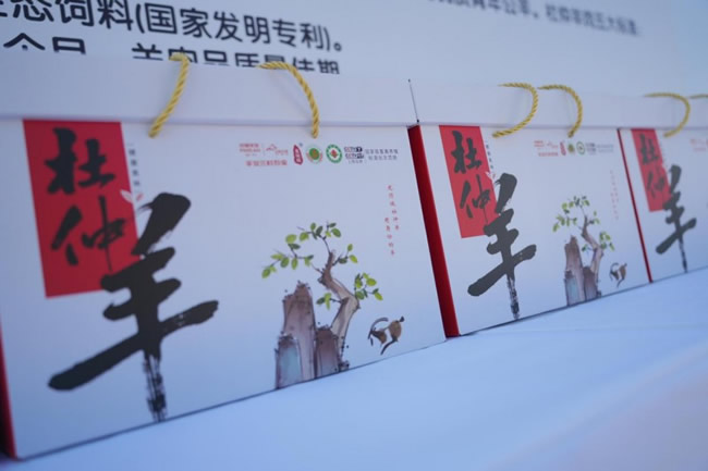 1763621375821446.jpg 未命名-10.jpg