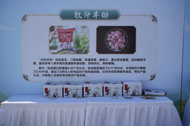 1763621382386125.jpg 未命名-11.jpg