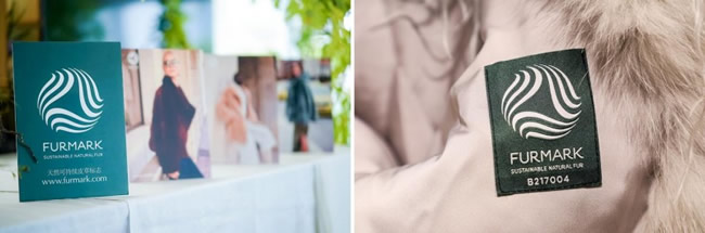 1764057510520850.jpg 未命名-12.jpg