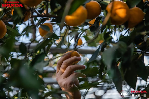 1765175397368652.jpg 未命名-12.jpg