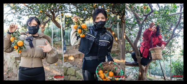 1765175554684266.jpg 未命名-27.jpg