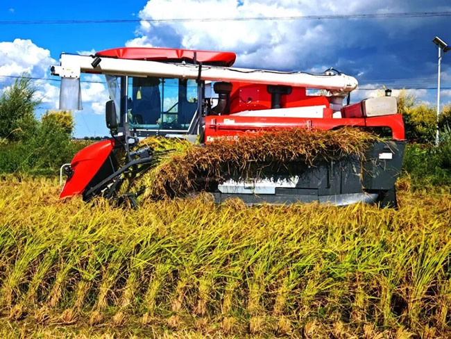 1765338645811491.jpg 未命名-15.jpg