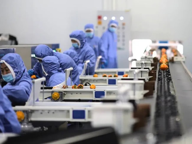 1765338654377119.jpg 未命名-13.jpg