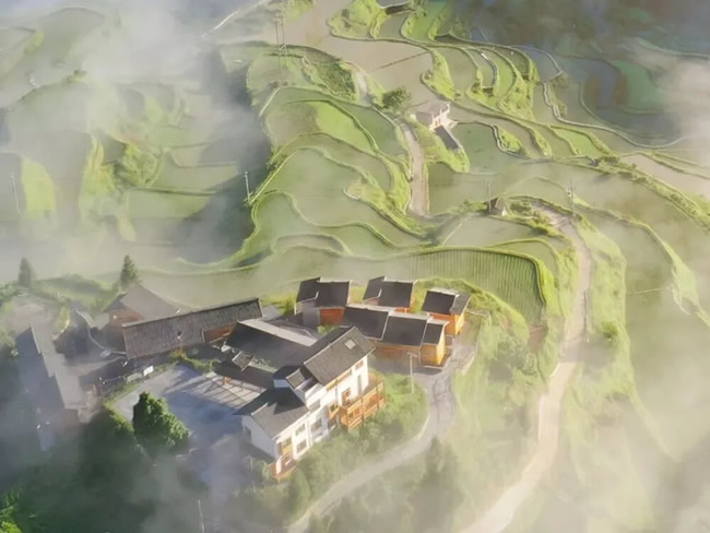 1765338665362792.jpg 未命名-11.jpg