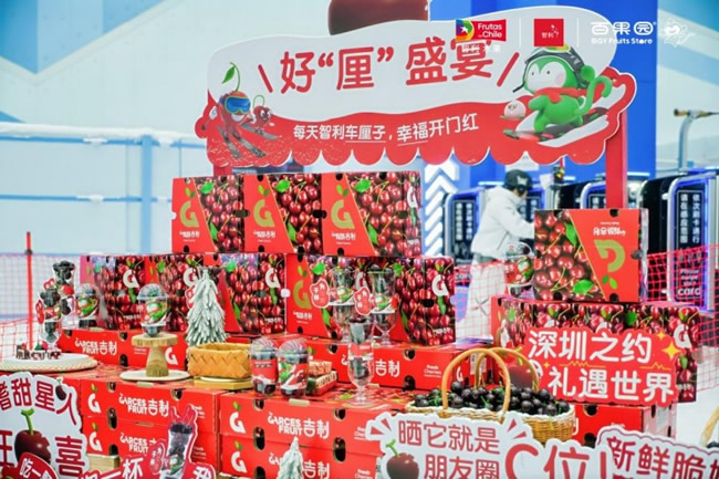 1767856492425156.jpg 未命名-3.jpg