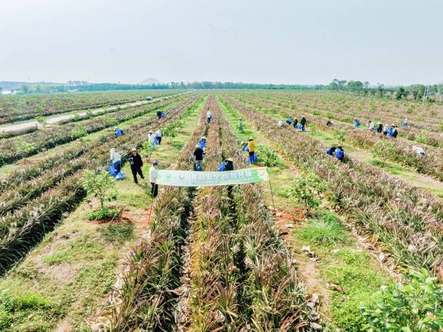 1773443423512525.jpg 未命名-1.jpg