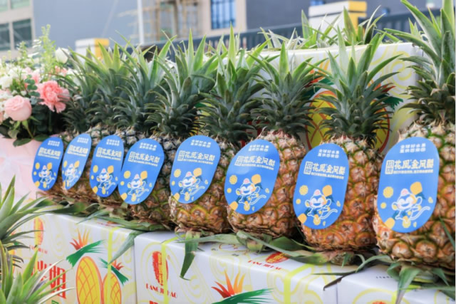 1773443434553444.jpg 未命名-2.jpg