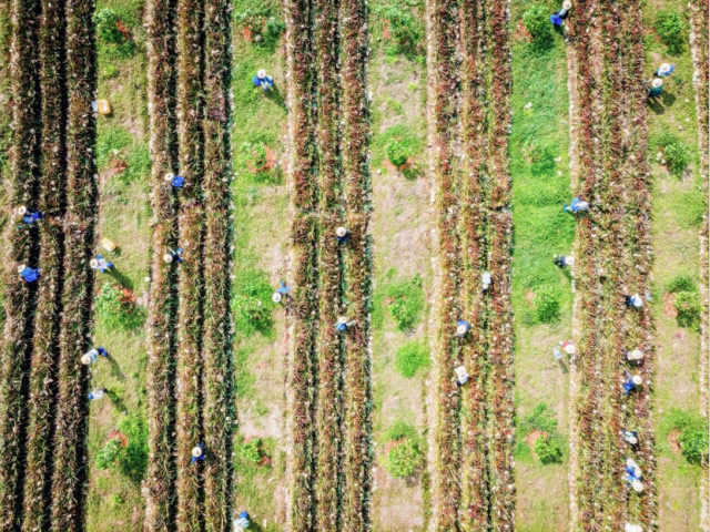 1773443483746235.jpg 未命名-3.jpg