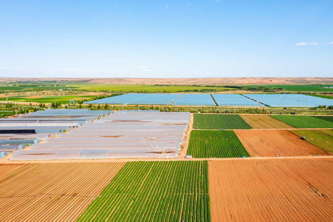 1773640759607576.jpg 未命名-2.jpg