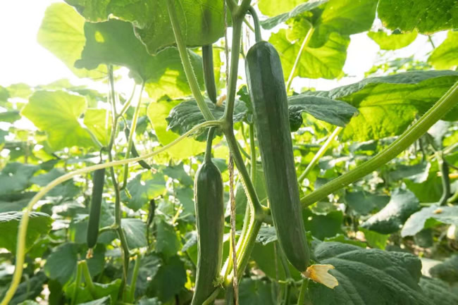 1773640766380132.jpg 未命名-3.jpg