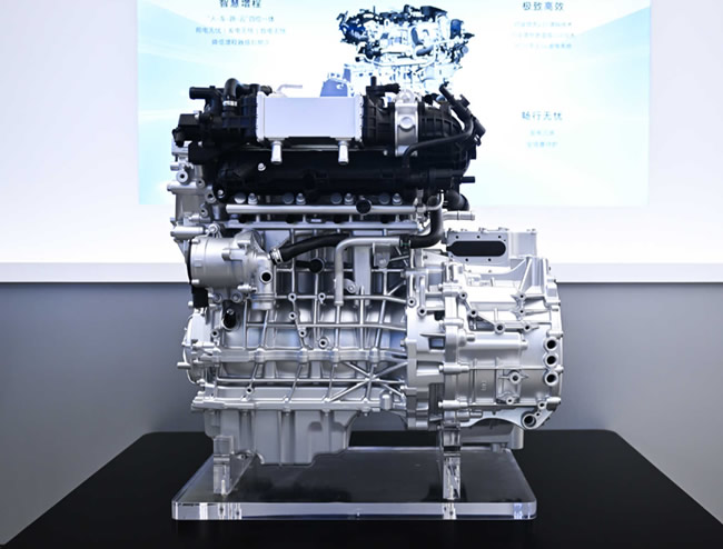 1774521018423672.jpg 未命名-19.jpg