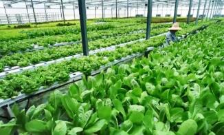 1112գũƷ۸200ָ½0.02