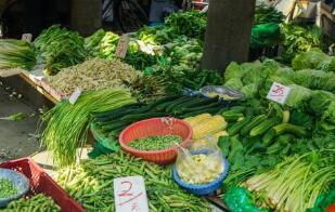 1125գũƷ۸200ָ0.24