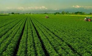 2025��ȫ���޻�����ͬ������7.7%