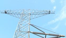 ȥ��ȫ�������г��̵罻�׵�������38.3%